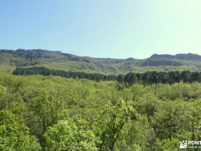 Parque Natural del Valle de Alcudia y Sierra Madrona; fotos ciervo municipios segovia club montañero